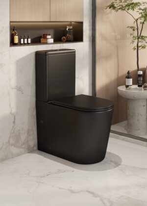 Berlin Rimless Back To Wall Toilet Suite (Matte Black)
