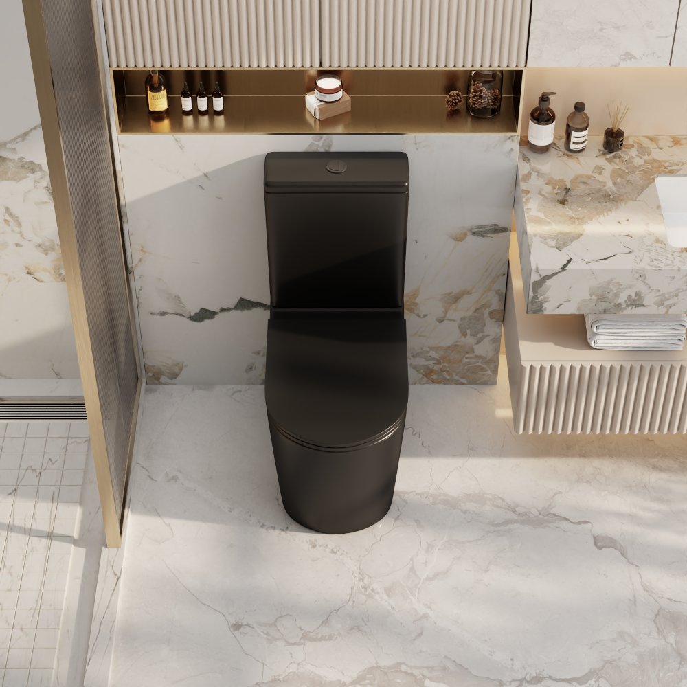 Berlin Rimless Back To Wall Toilet Suite (Matte Black)