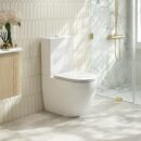 DIANA Back-to-Wall Toilet Suite (Gloss White)
