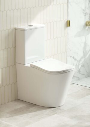 FIFA Back-to-Wall Toilet Suite (Gloss White)