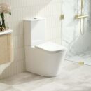 FIFA Back-to-Wall Toilet Suite (Gloss White)
