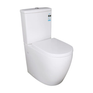 Elvera Box Rim Ambulant Gloss White Toilet Suite