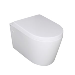 Avery Box Rim Wall Hung Gloss White Toilet