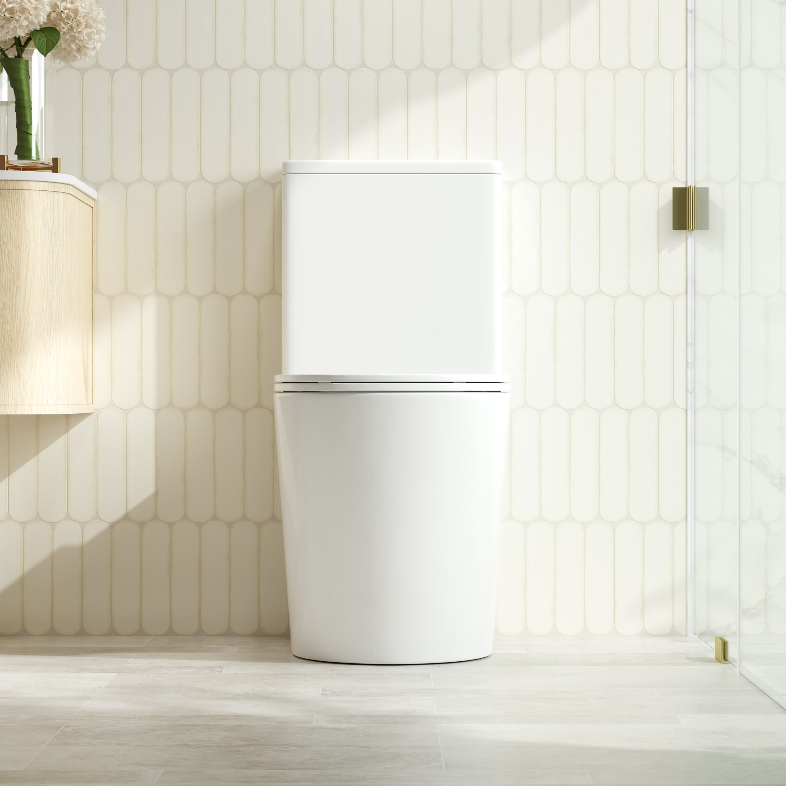 OXFORD Back-to-Wall Toilet Suite (Gloss White)